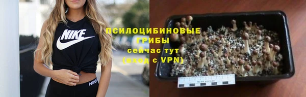 ALPHA PVP Лиски
