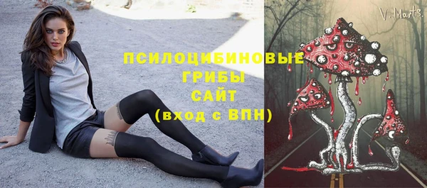 спиды Бронницы