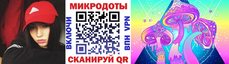 Псилоцибиновые грибы мицелий  хочу   Пошехонье 